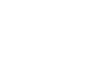CostQuora Decorative Shape